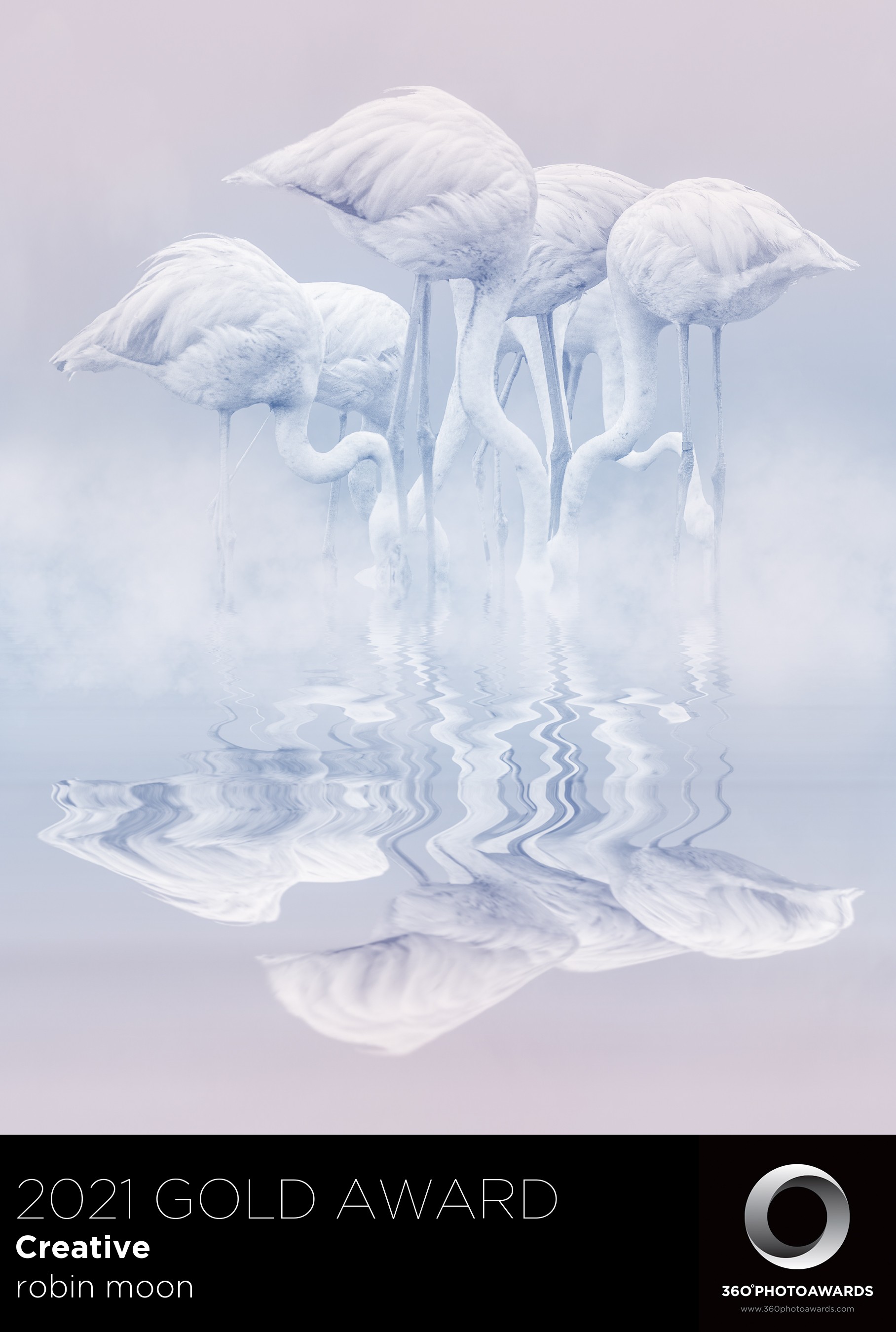 2021 Creative – 360 Photo Awards
